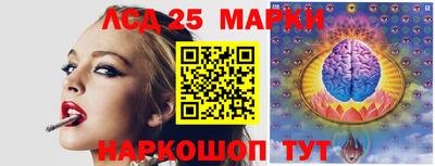 гидропоника Краснознаменск