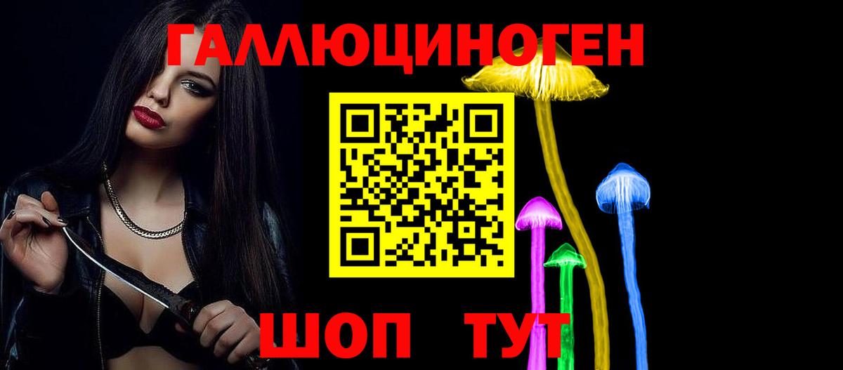 Елабуга  Галлюциногенные грибы Psilocybe  Вход с VPN 